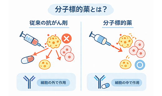 分子標的薬とは?用いられるがんの種類や治療に用いるメリット・デメリットを解説