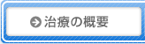 治療の概要