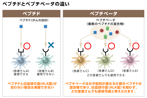 肽和肽β的区别
